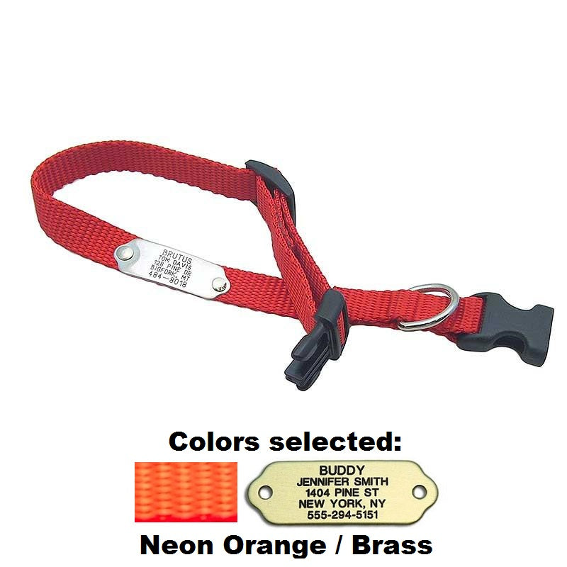 Rivet ID Collar for Dogs, - Lucky Pet